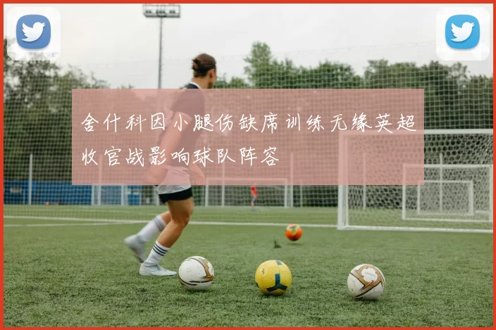 舍什科因小腿伤缺席训练无缘英超收官战影响球队阵容